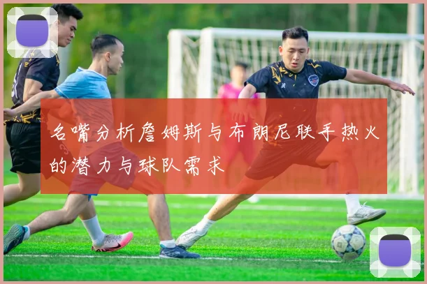 名嘴分析詹姆斯与布朗尼联手热火的潜力与球队需求