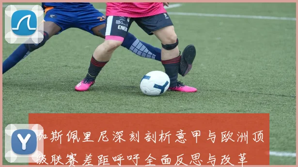 加斯佩里尼深刻剖析意甲与欧洲顶级联赛差距呼吁全面反思与改革