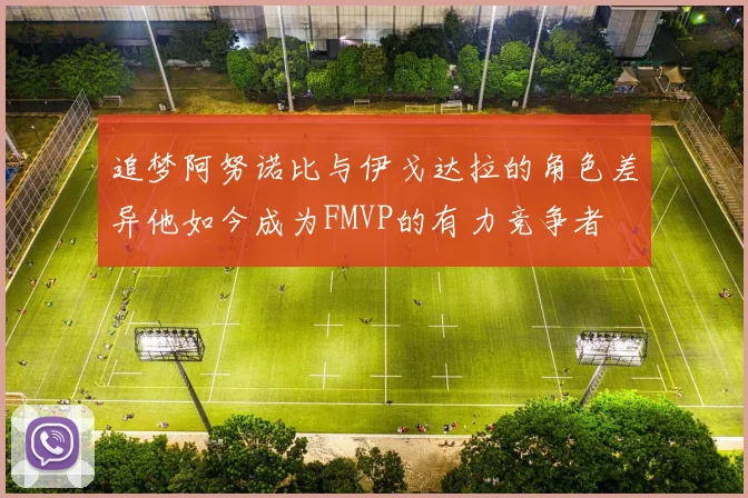 追梦阿努诺比与伊戈达拉的角色差异他如今成为FMVP的有力竞争者
