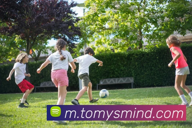 App 展示图